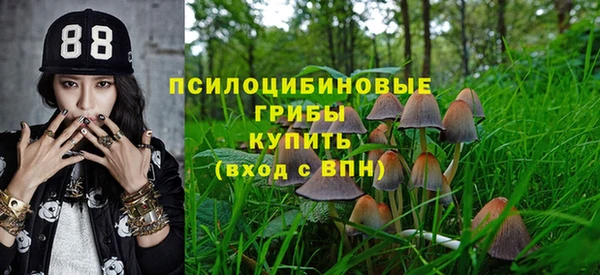 индика Абдулино