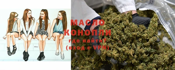 индика Абдулино