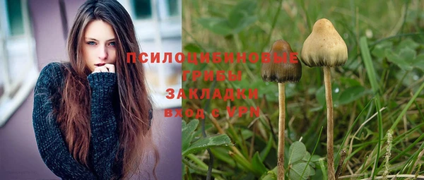 индика Протвино