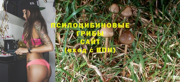 jwh Пролетарск