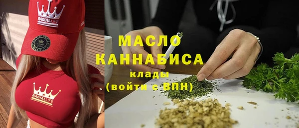 индика Абдулино