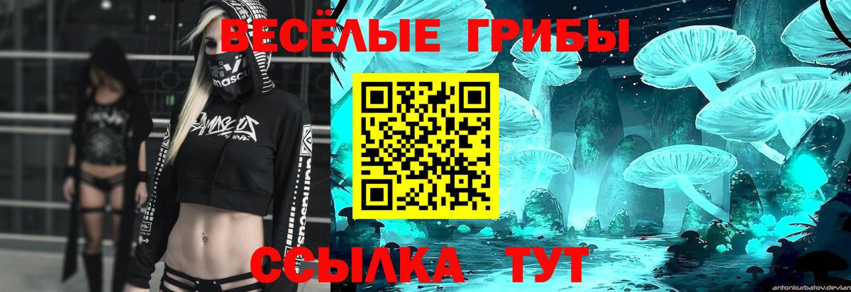 Псилоцибиновые грибы Psilocybe Скопин